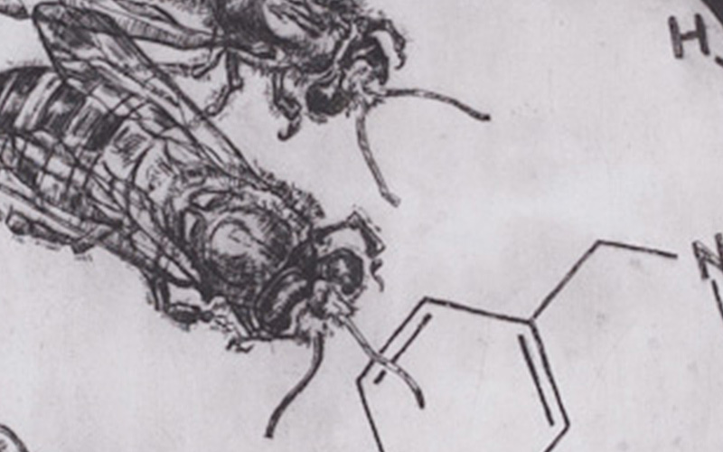 Etching titled "The Great Demise of the Pollinators," by Nils hHenrik Sundqvist.